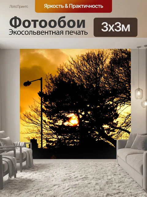 Фотообои Закат