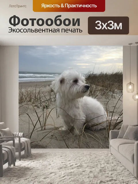 Фотообои Животное