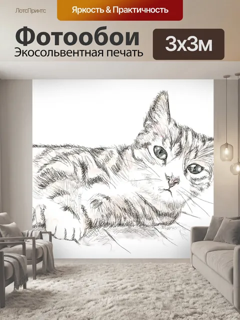 Фотообои Кот