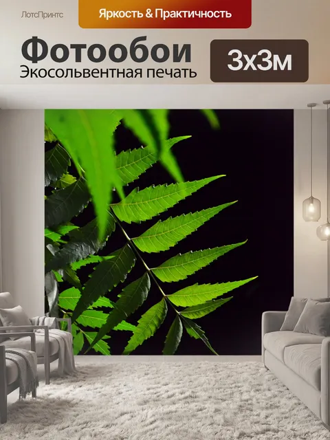 Фотообои Kohomba лист