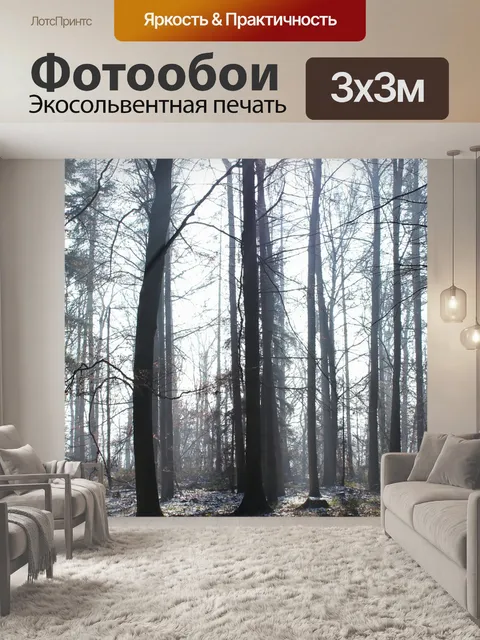 Фотообои Лес