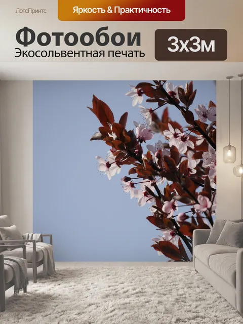 Фотообои Чернослив