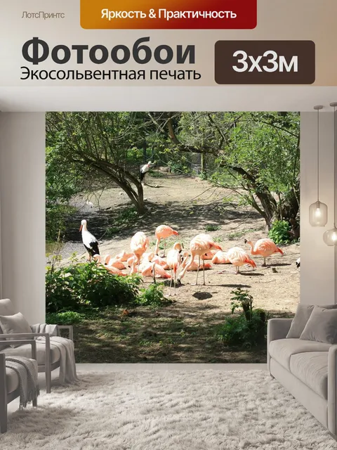 Фотообои Фламинго