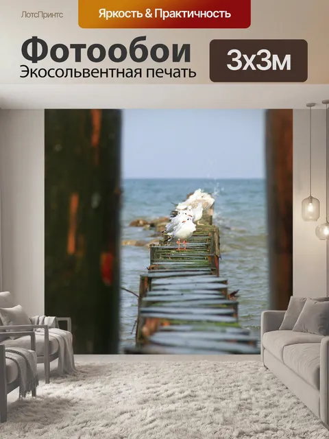 Фотообои Чайки