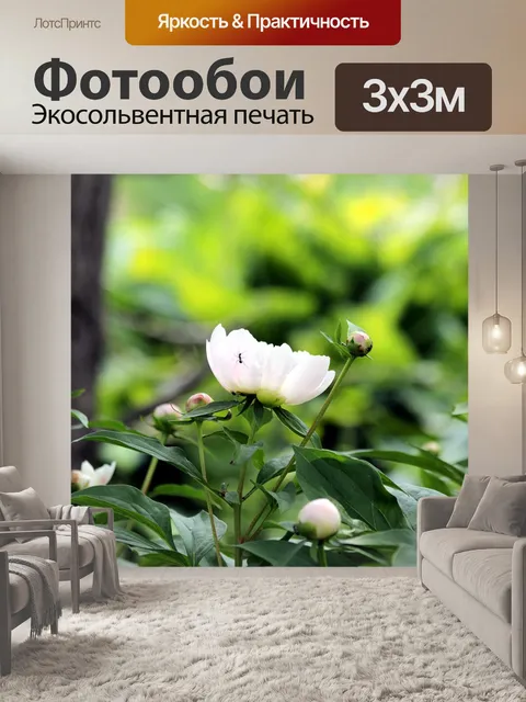 Фотообои Пионы