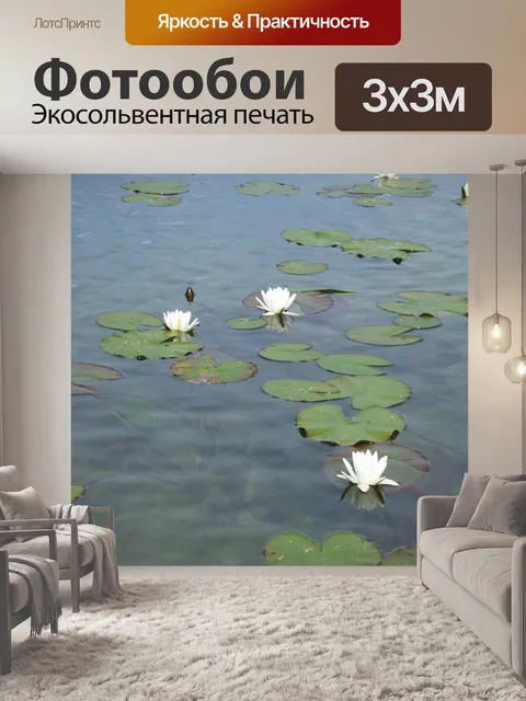 Фотообои Водяные лилии
