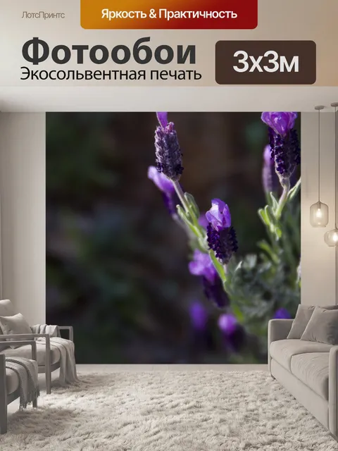 Фотообои Бутоны лаванды