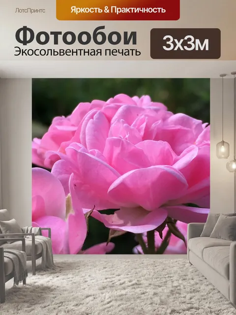 Фотообои Роза