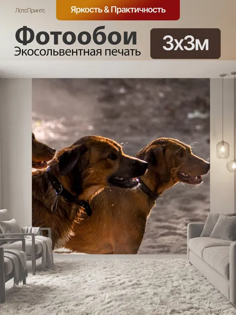 Фотообои Собаки