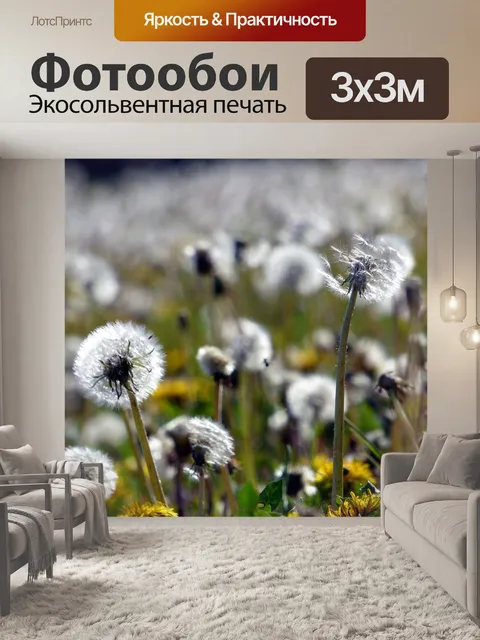 Фотообои Одуванчики
