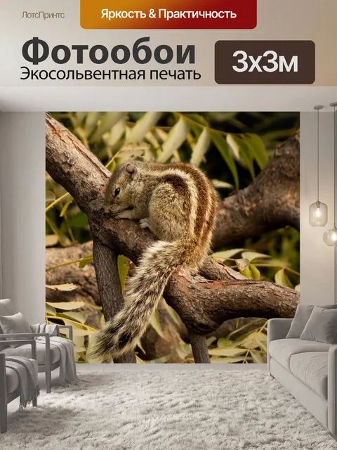 Фотообои Прелестный Белка в дереве