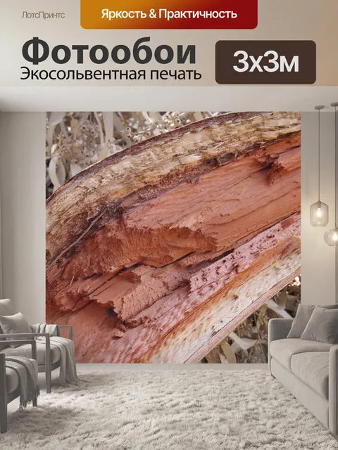 Фотообои Эвкалипт