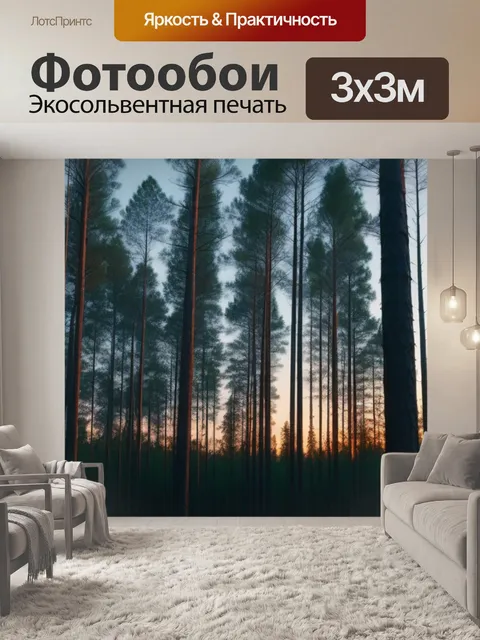 Фотообои лес из высоких сосен на закате