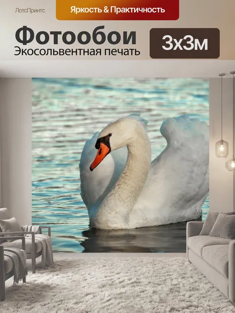 Фотообои Лебедь воды волны солнечный свет