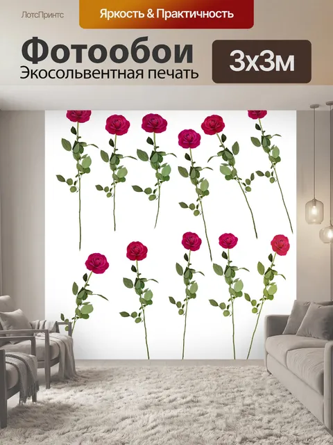 Фотообои Розы, изолированных