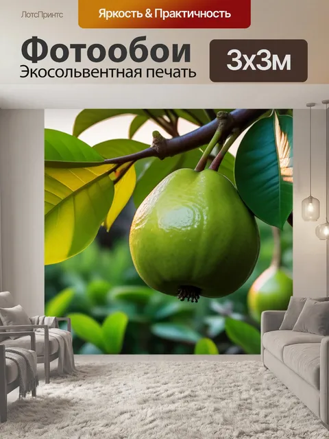 Фотообои гуава в саду на фоне заката