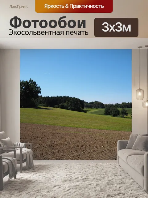 Фотообои Лес