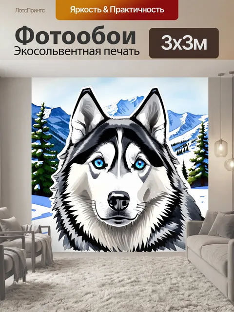 Фотообои изображение крупного плана лица хаски с ярко-голубыми глазами, контрастирующими с черно-белой шерстью