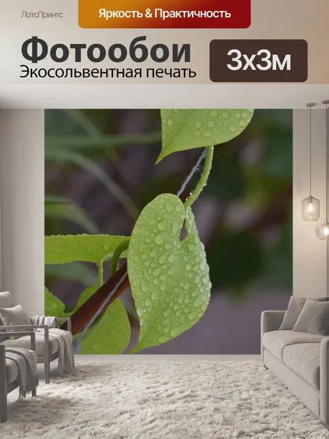 Фотообои Листья