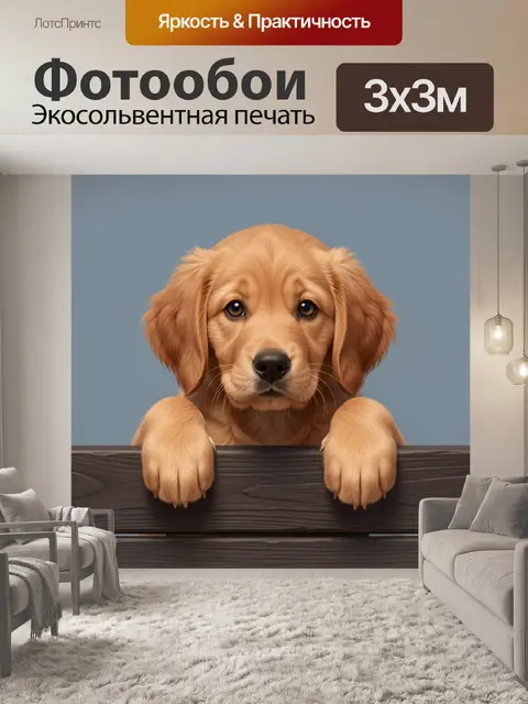 Фотообои Щенок золотистого ретривера у доски