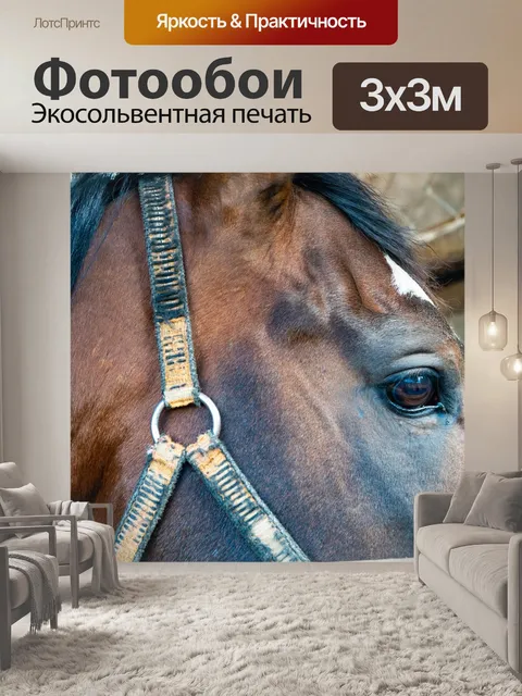 Фотообои Лошади