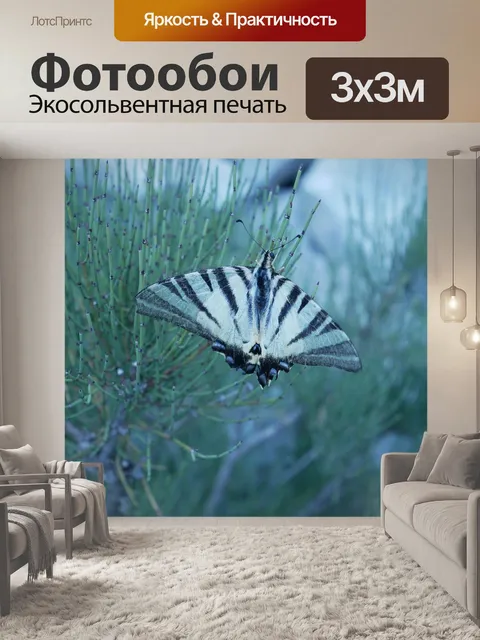 Фотообои Бабочка