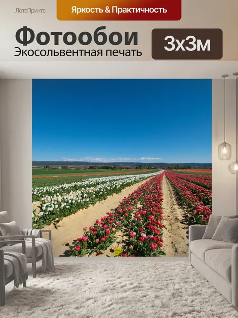 Фотообои Поле