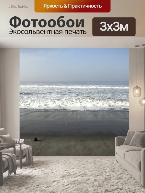 Фотообои Кокос