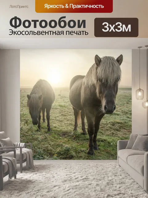 Фотообои Лошади