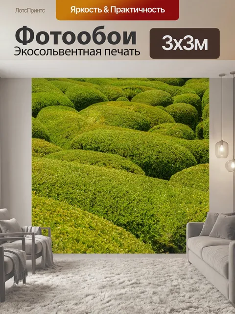 Фотообои Самшит
