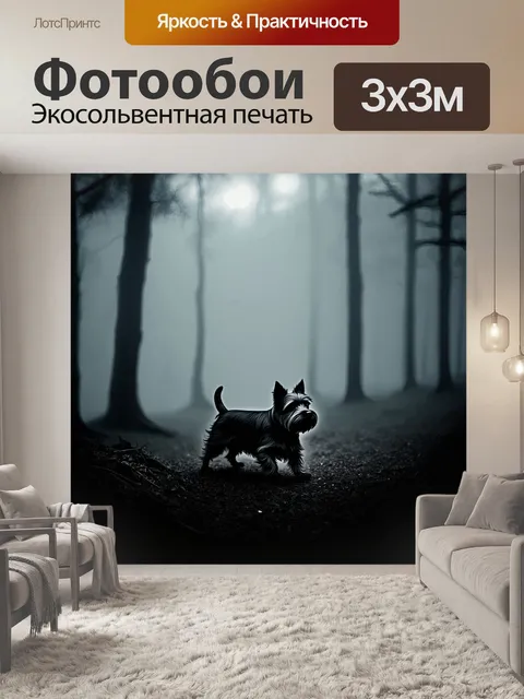 Фотообои керн терьер, исследующий мрачный лес в туманное утро