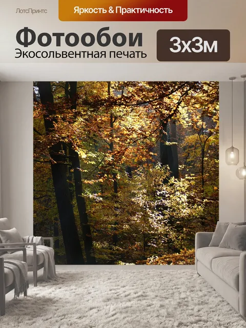 Фотообои Падение