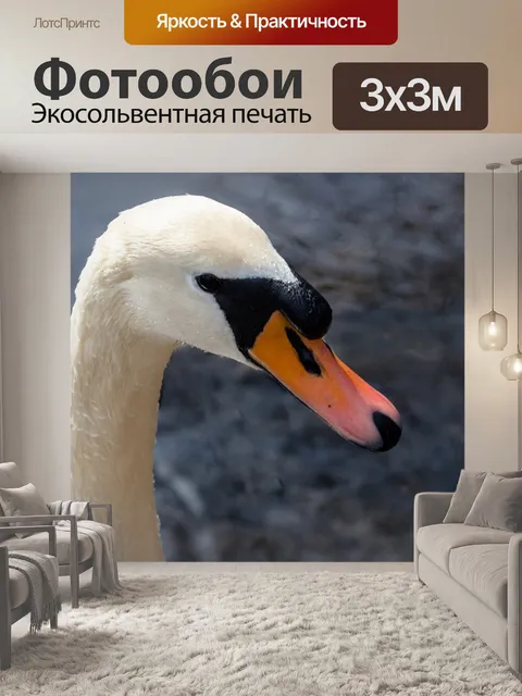 Фотообои Птица
