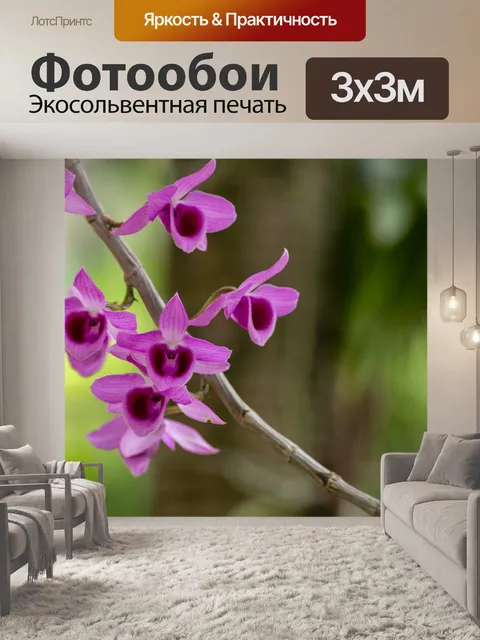 Фотообои Орхидея