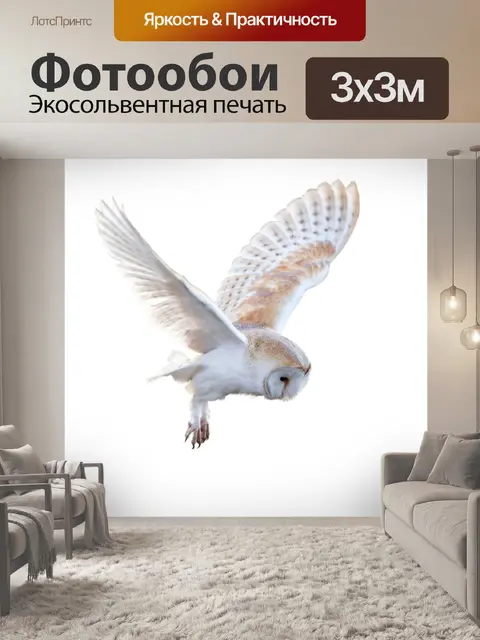 Фотообои Сова