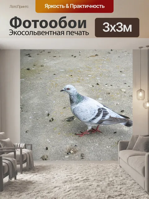 Фотообои Город Pigeon