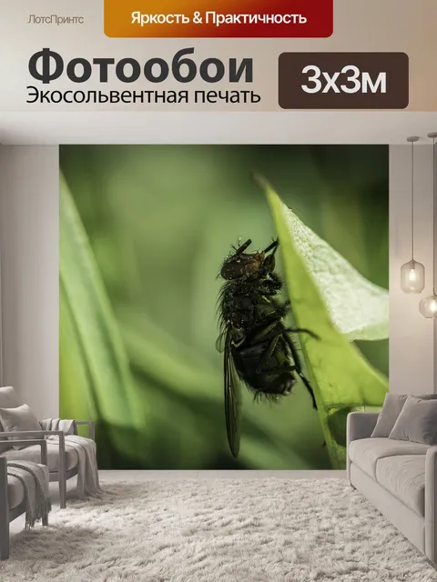 Фотообои Летать