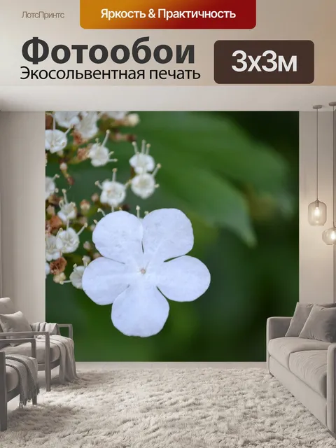 Фотообои Цветы
