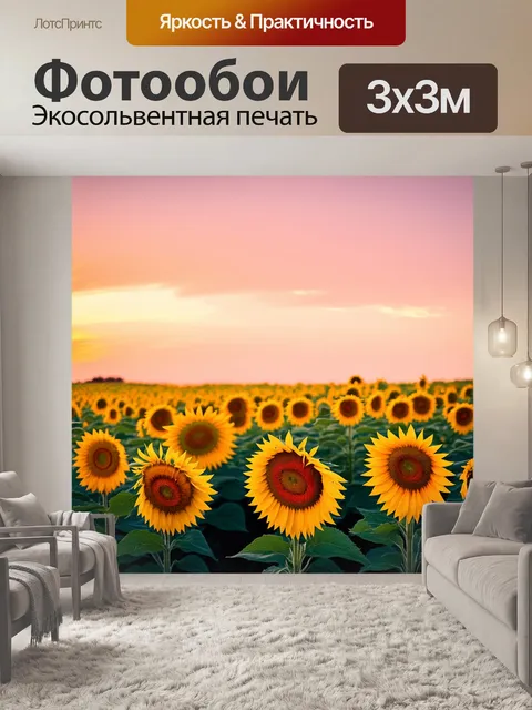 Фотообои поля подсолнухов на закате, когда солнце окрашивает небеса в золотые и розовые тона