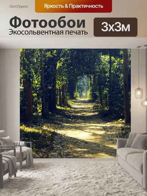 Фотообои Лес