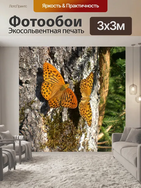 Фотообои Бабочки