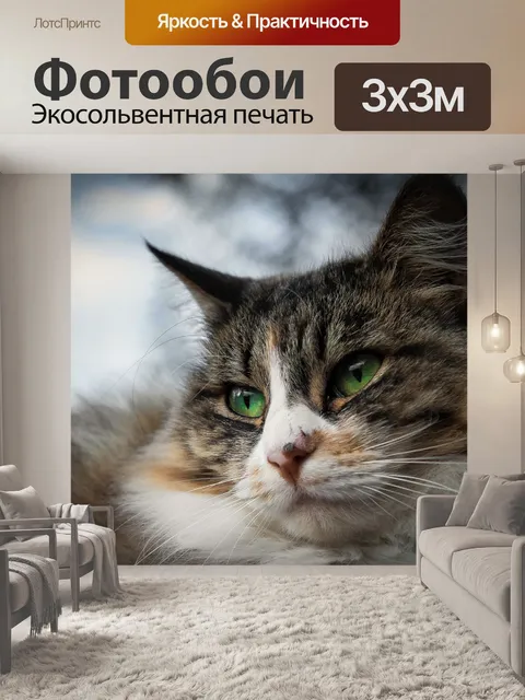 Фотообои Кошка