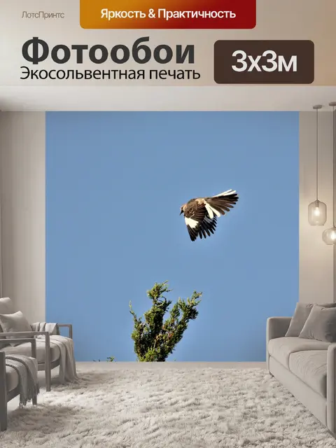 Фотообои Пересмешник в полете
