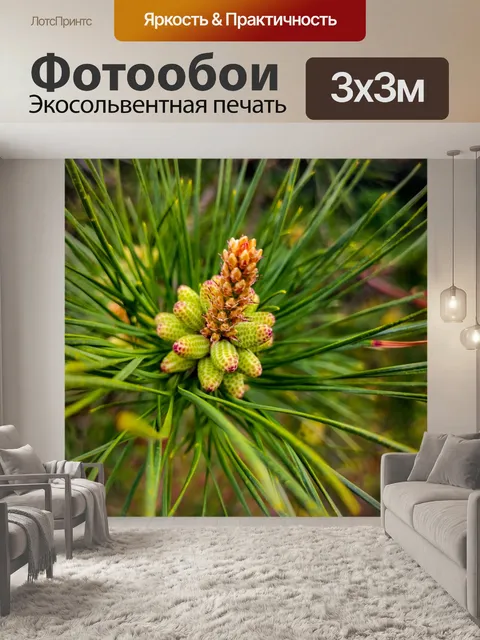 Фотообои Деревянный