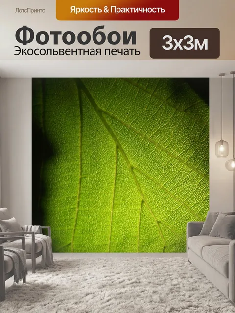 Фотообои Зеленый