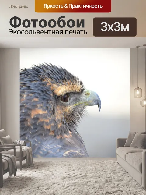 Фотообои Птицы
