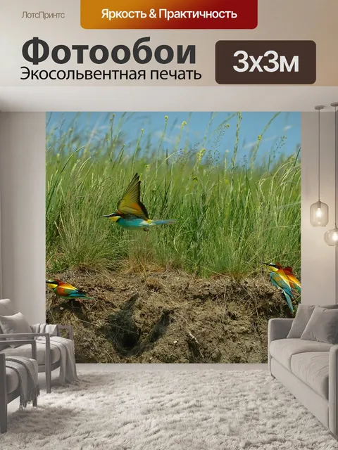 Фотообои Природа