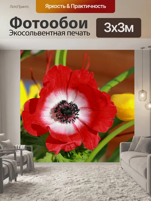Фотообои Натюрморт