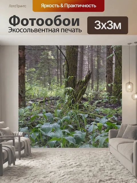 Фотообои Лес