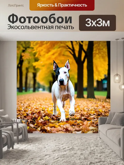 Фотообои бультерьер, прогуливающийся по осеннему парку, покрытому листьями